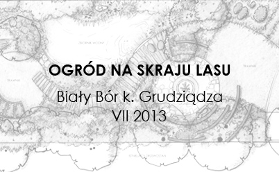 Projekt Biały Bór - czarno-biały